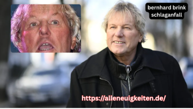 bernhard brink schlaganfall